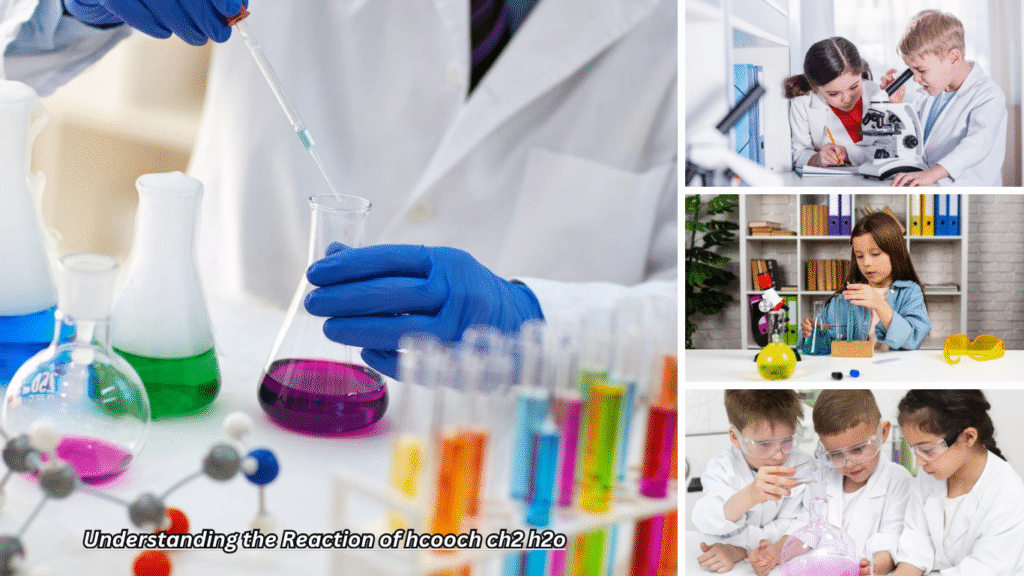 Understanding the Reaction of hcooch ch2 h2o hcooch ch2 h2o
